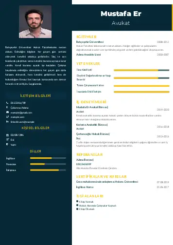 cv indir